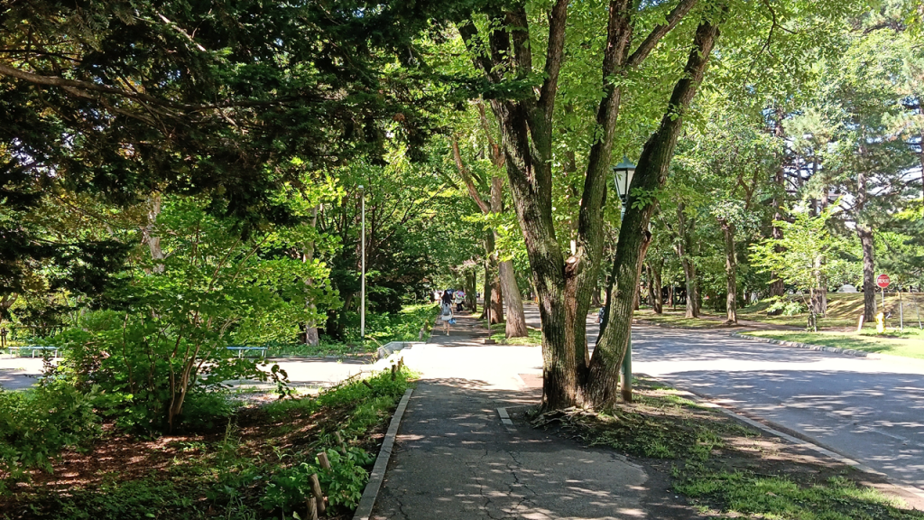 イチョウ並木を通過して北に向かう道