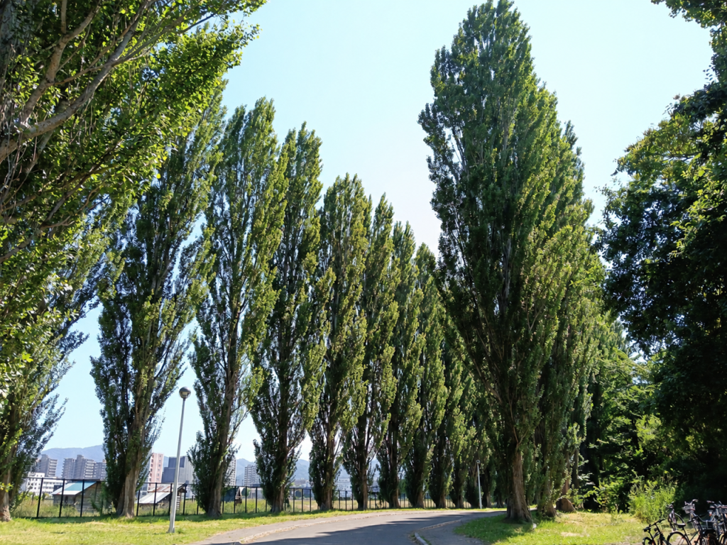 道路のカーブしたところからの景色