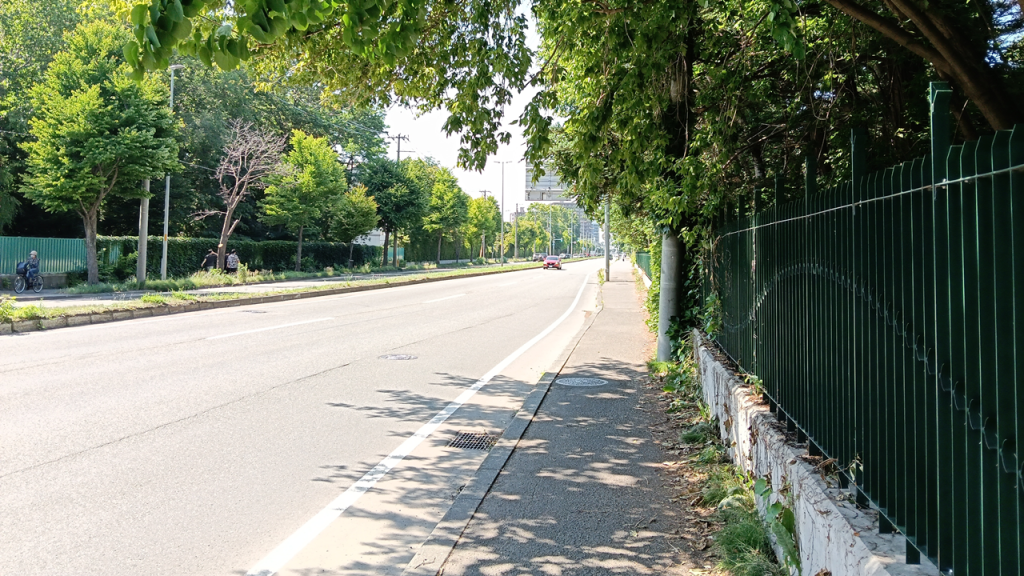 北大の西端の歩道