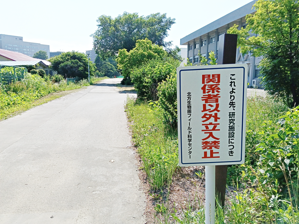 ポプラ並木の「立入禁止」の標識