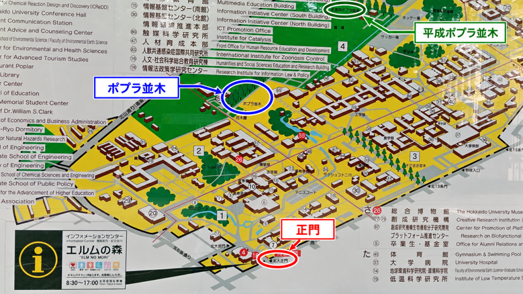 ポプラ並木と平成ポプラ並木の場所を示す案内板