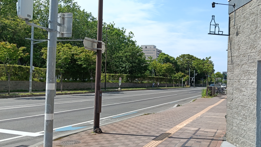 イチョウ並木(北13条門)に向かう道路